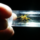 Illustration for article titled This Is How to Find the Spiders That Are Staring At You in the Dark